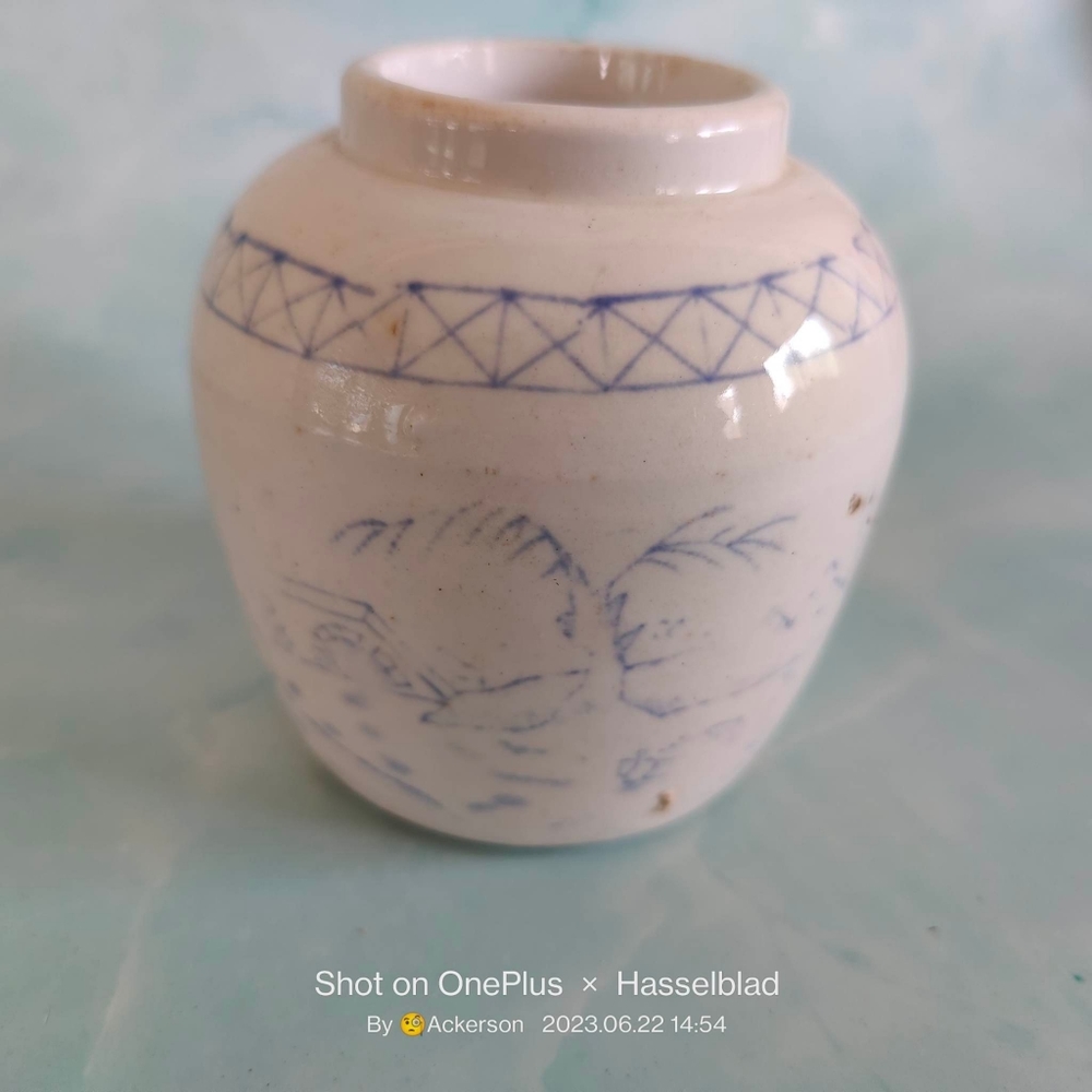 Antique Ginger Jar Spice Jar Hand Painted 19th century Asian art